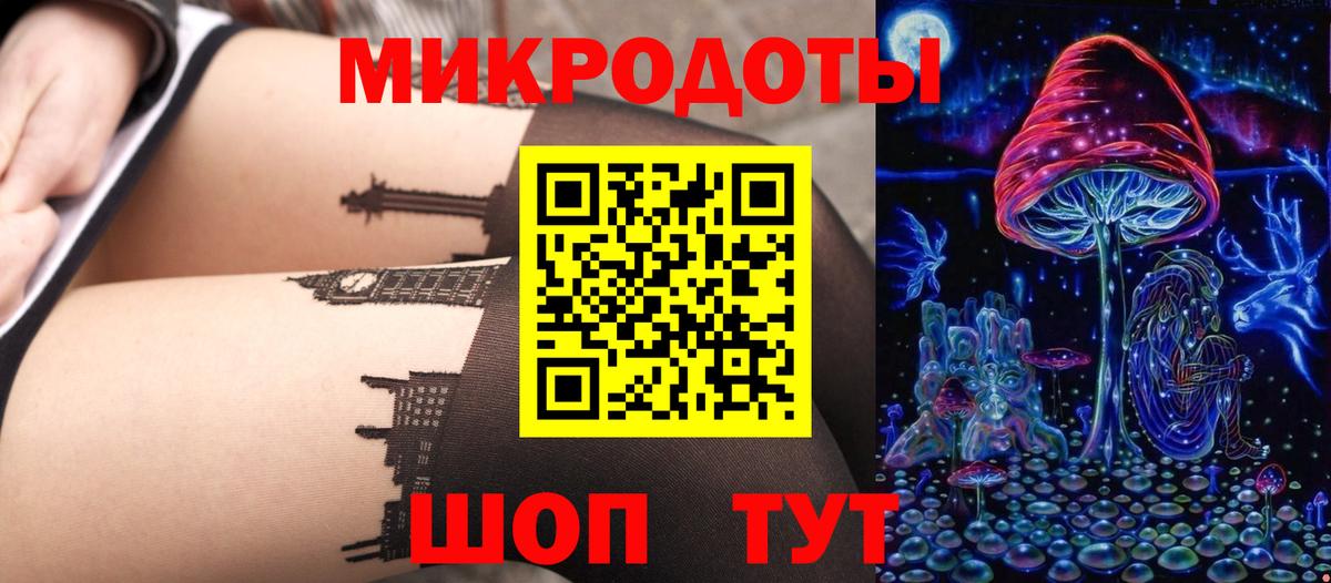 Псилоцибиновые грибы мицелий Губаха